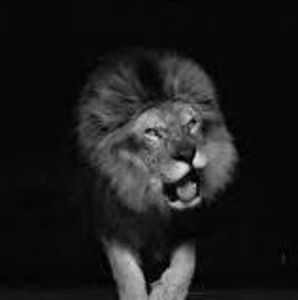 Meet your Posher, Lyon